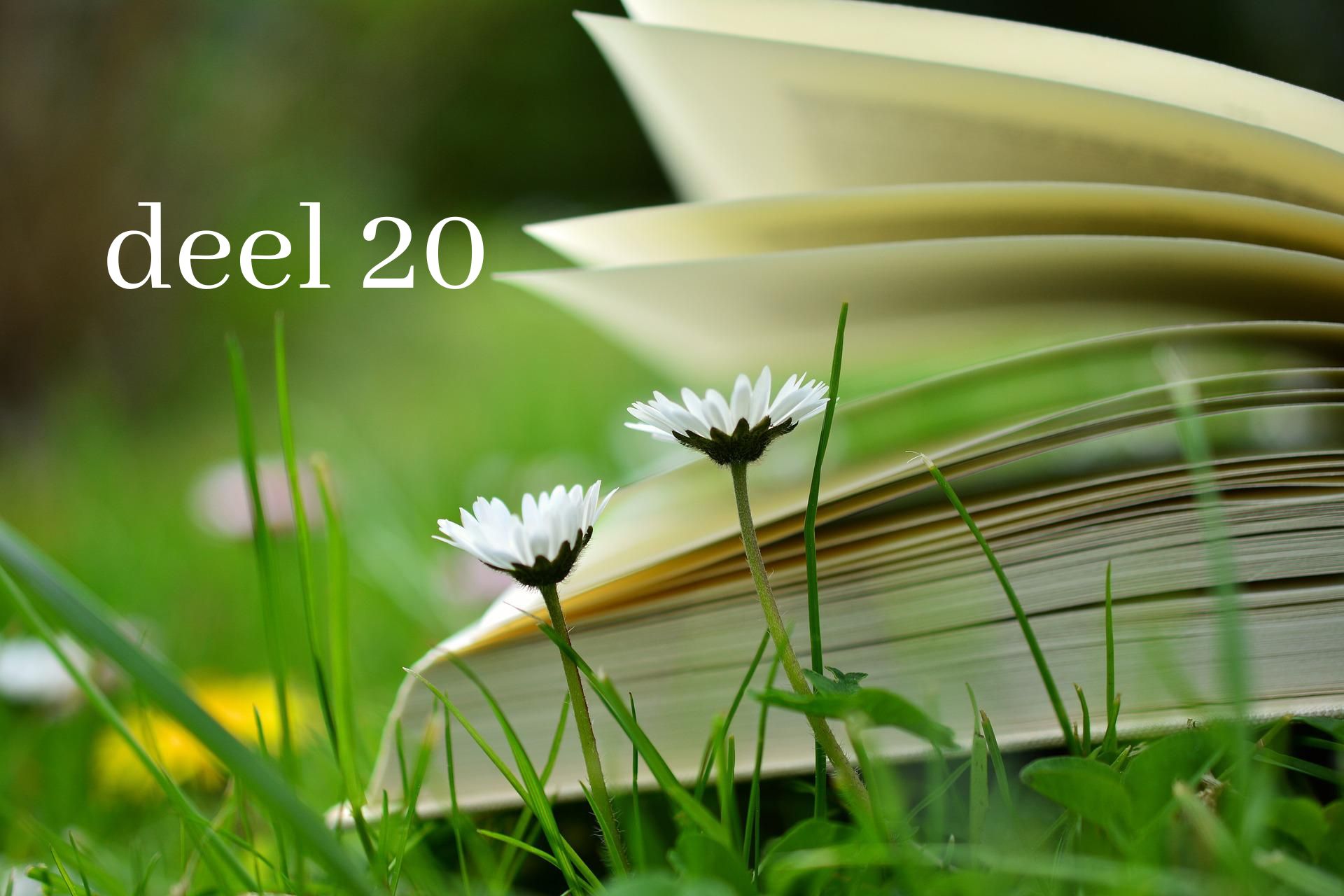 De wet leert de zonde kennen: Rom.7:7-12