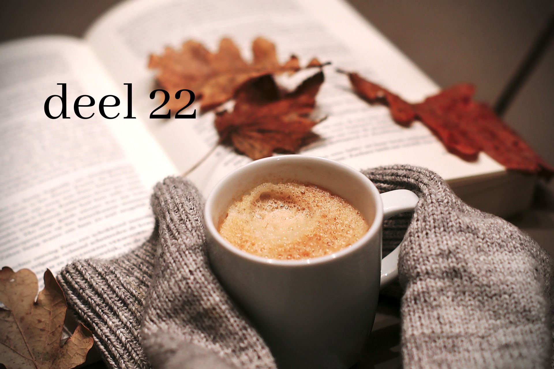 Het leven door de Geest (1): Rom.8:1-4